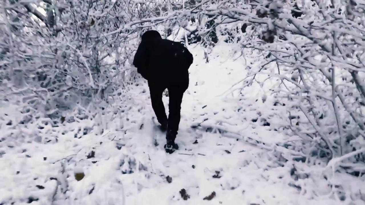 Selig - Wintertag | Aus 