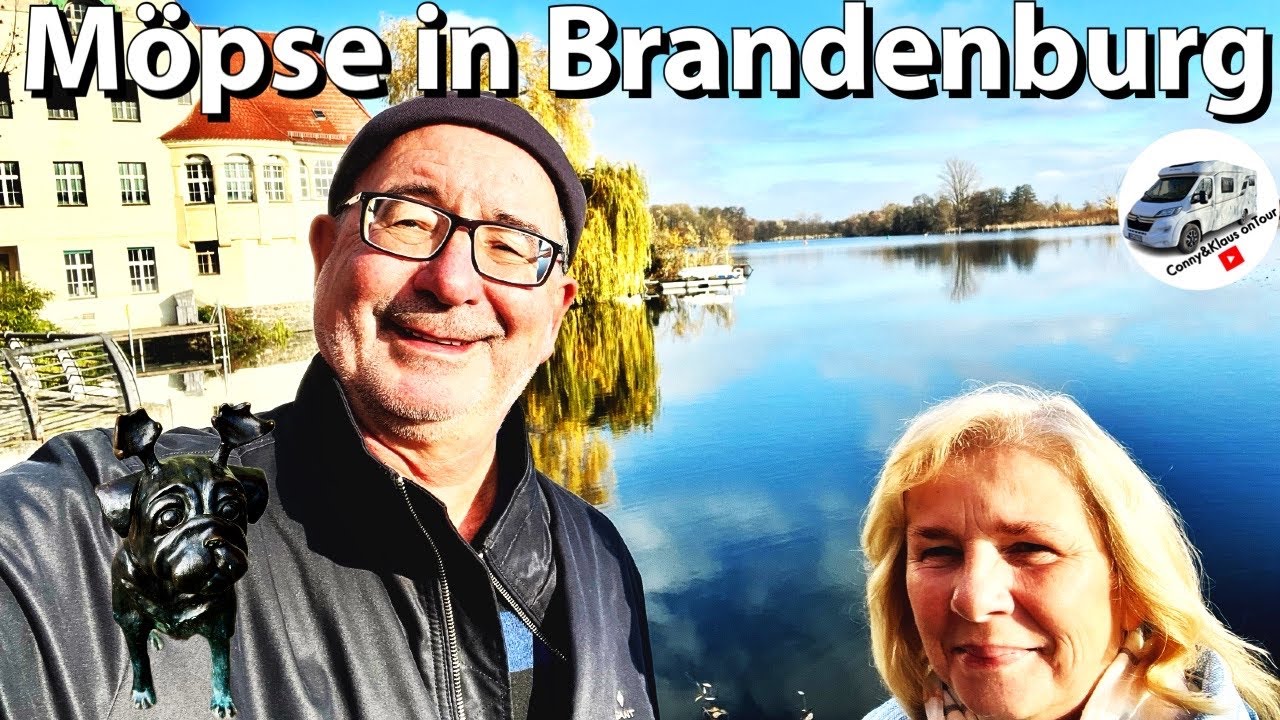 #174 Möpse in Brandenburg, ein Wochenende an der Havel