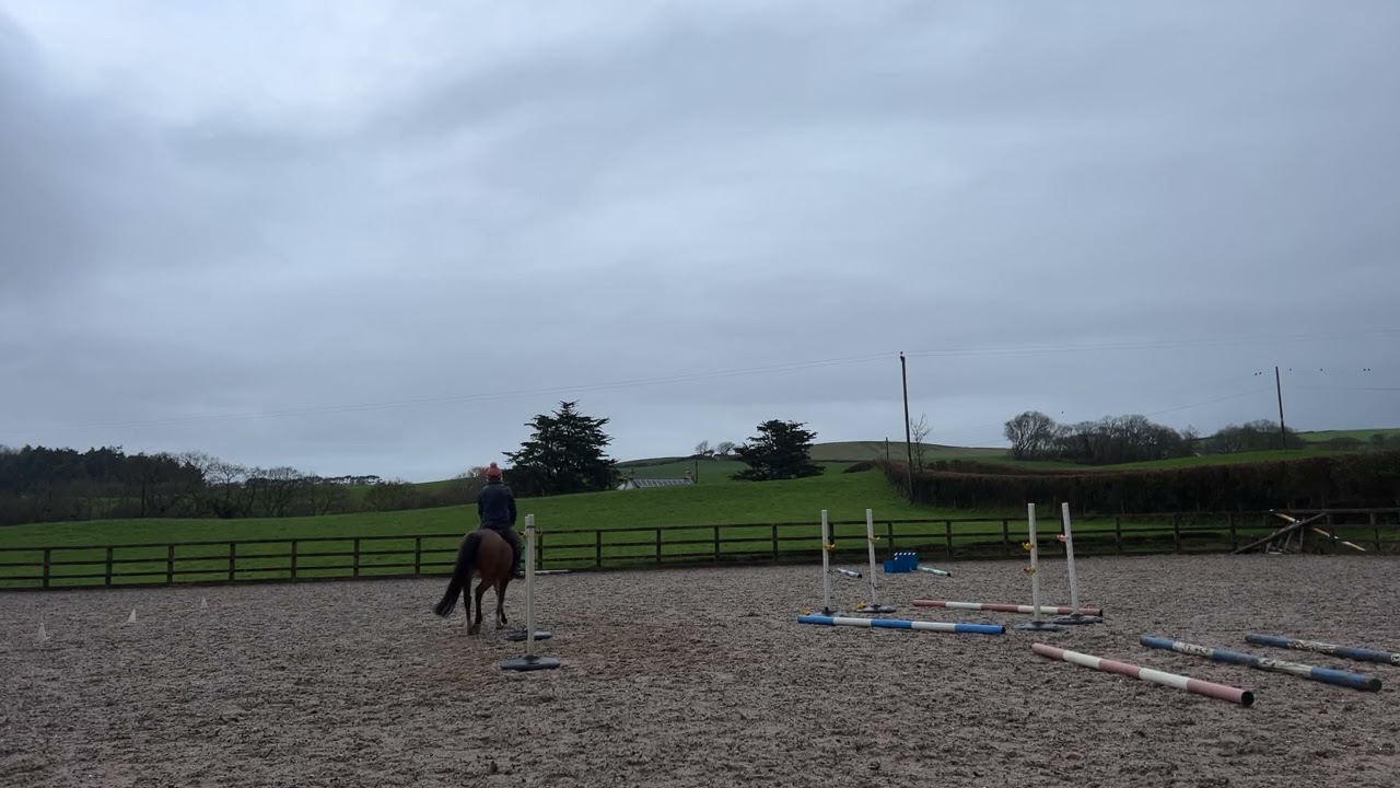 AEC winter Trec. Gate. Novice Ridden