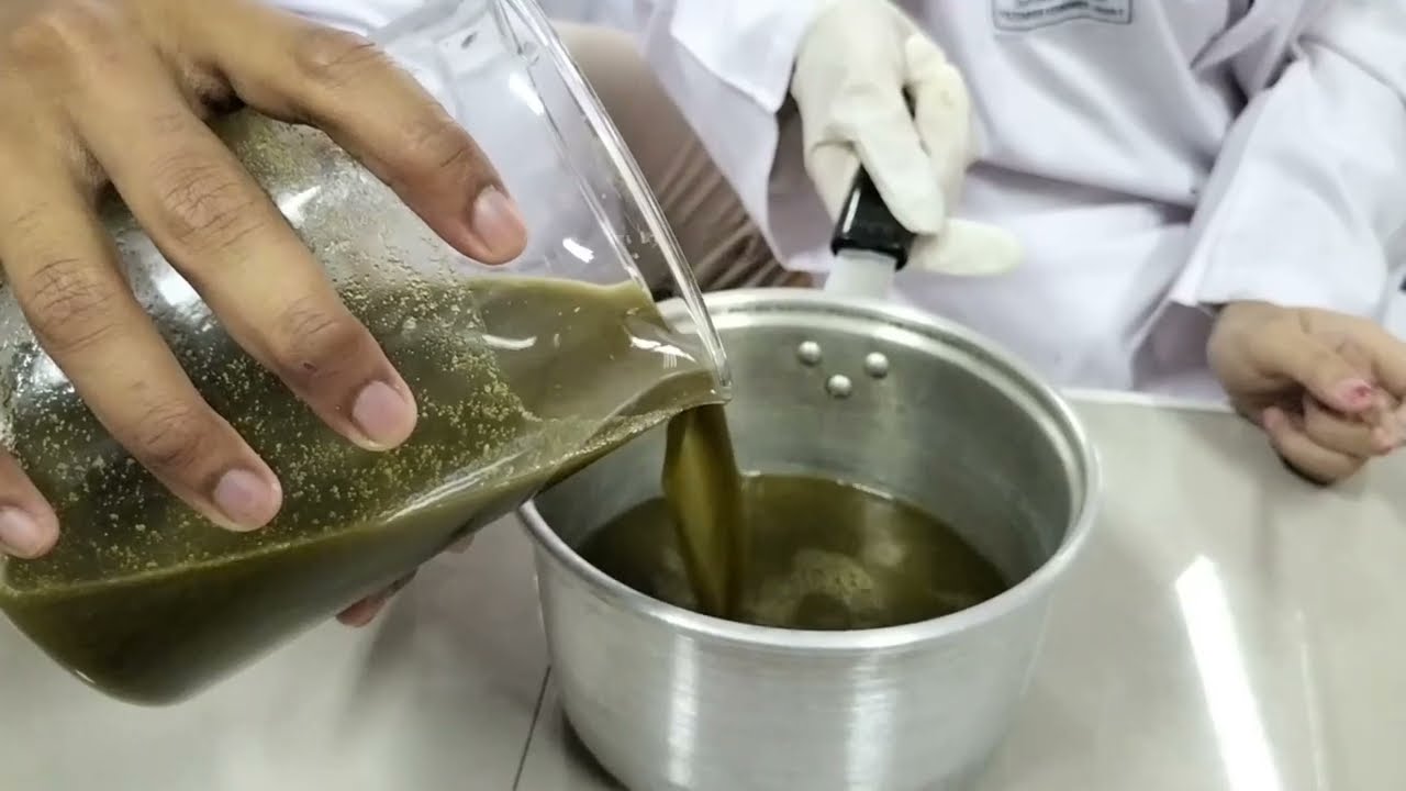 Prak. Fitokimia - PKJ II : Ekstraksi daun kelor (Moringa oleifera) dengan metode rebusan : A3 JAYA