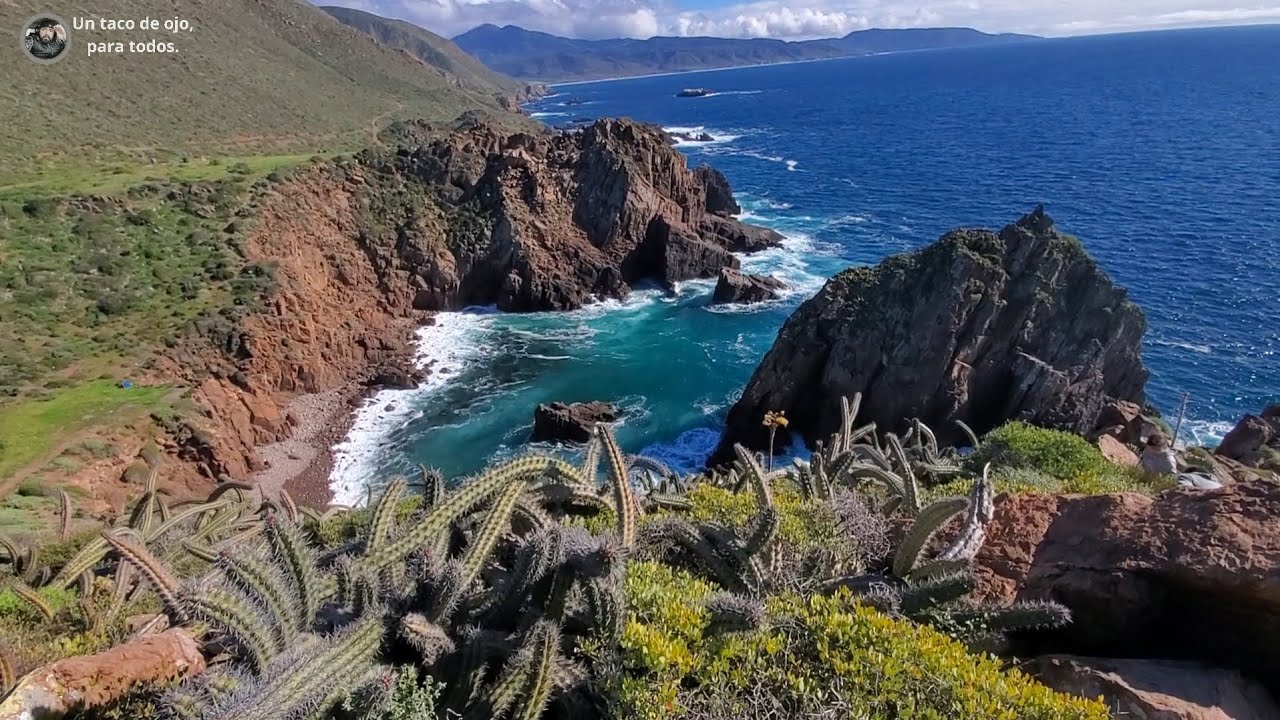 Puerto Arbolitos Cove Ensenada, Un Paraiso Escondido, y la presencia de hermosas focas.
