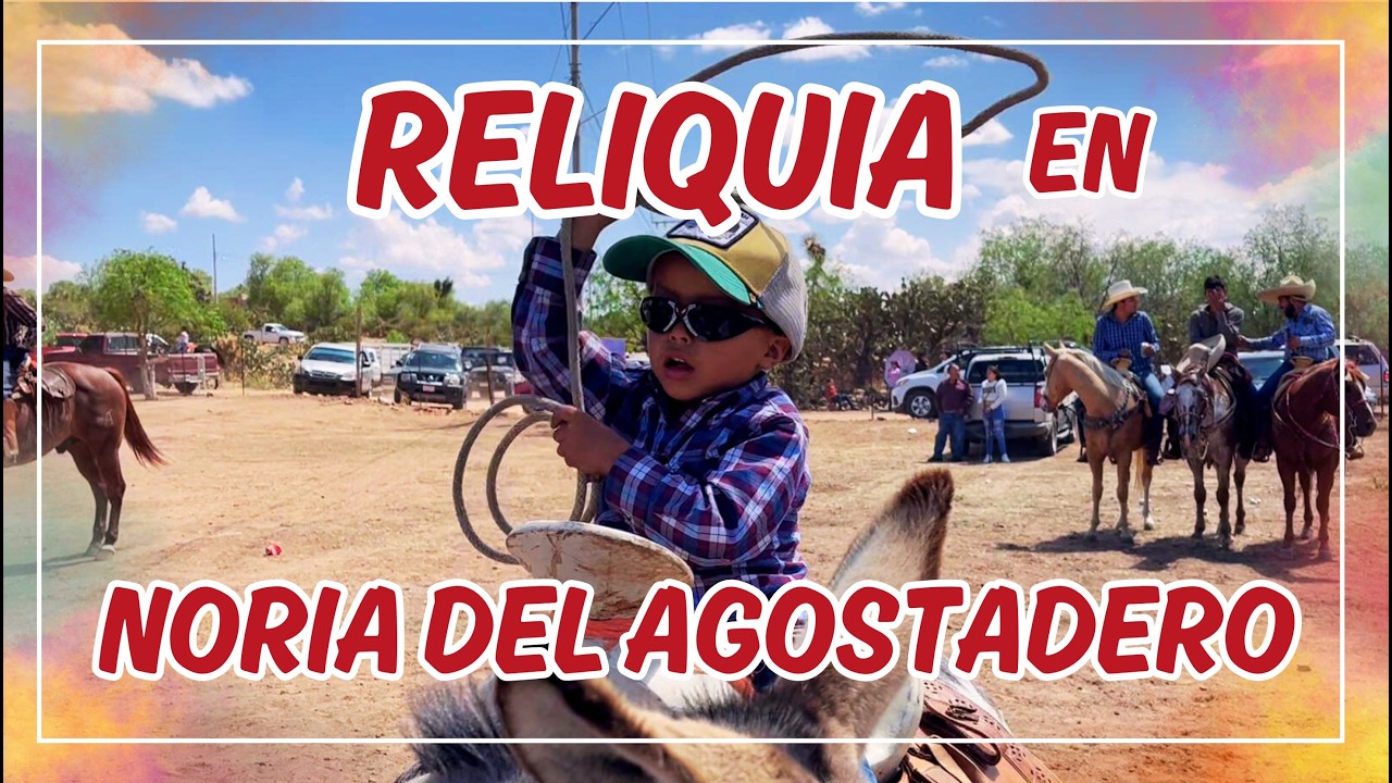 🔴 DISFRUTA LA RELIQUIA para SAN ANTONIO en NORIA DE AGOSTADERO