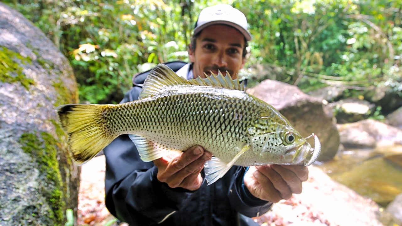 Walking into the Jungle to find remote unfished rivers (no one has fished here)