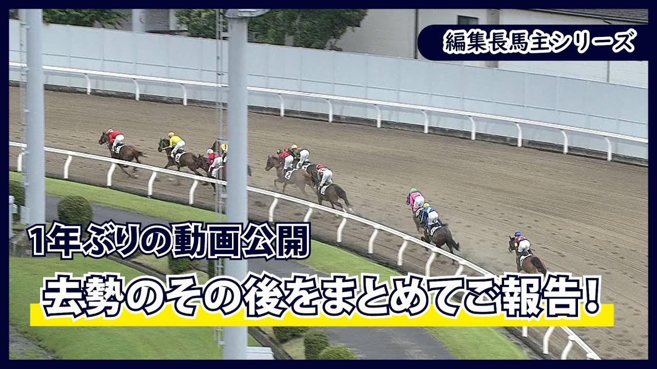 【編集長馬主になる！】#38 約1年ぶりの動画公開 去勢とその後をまとめてご報告！