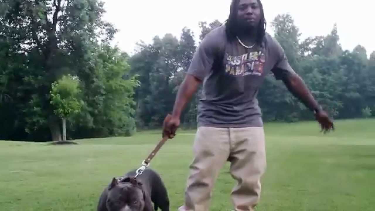 Hoppo (KPE) How I Live Official Video