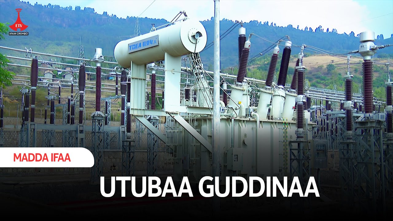 UTUBAA GUDDINAA etv |Ebc |Etv Afaan Oromoo|