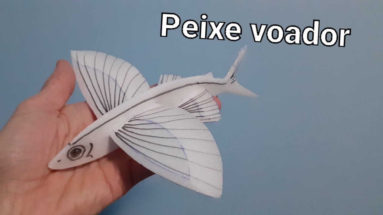 Peixe voador de bandejinha de isopor