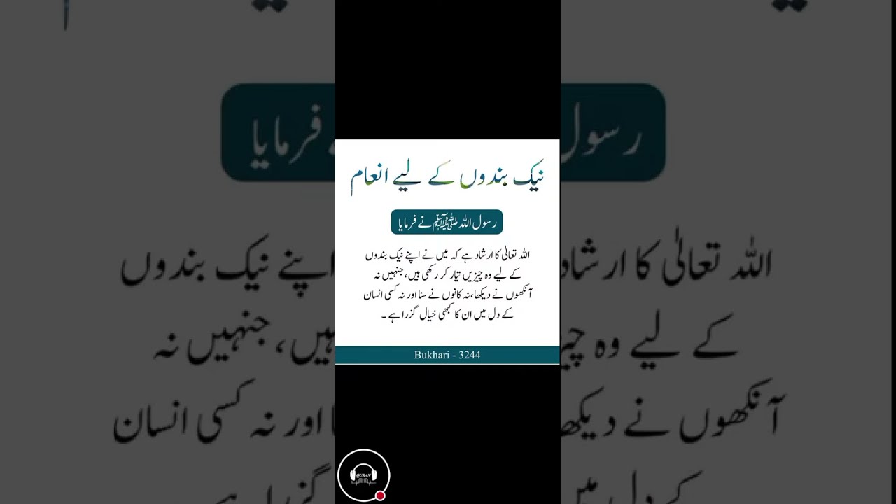 The Quran Voice | live Islamic videos | live videos