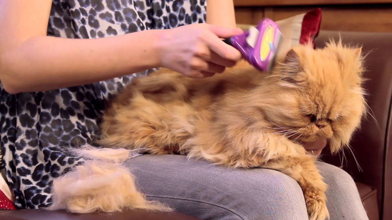 FURminator Pohjavillan ja irtokarvan poistaja kissoille