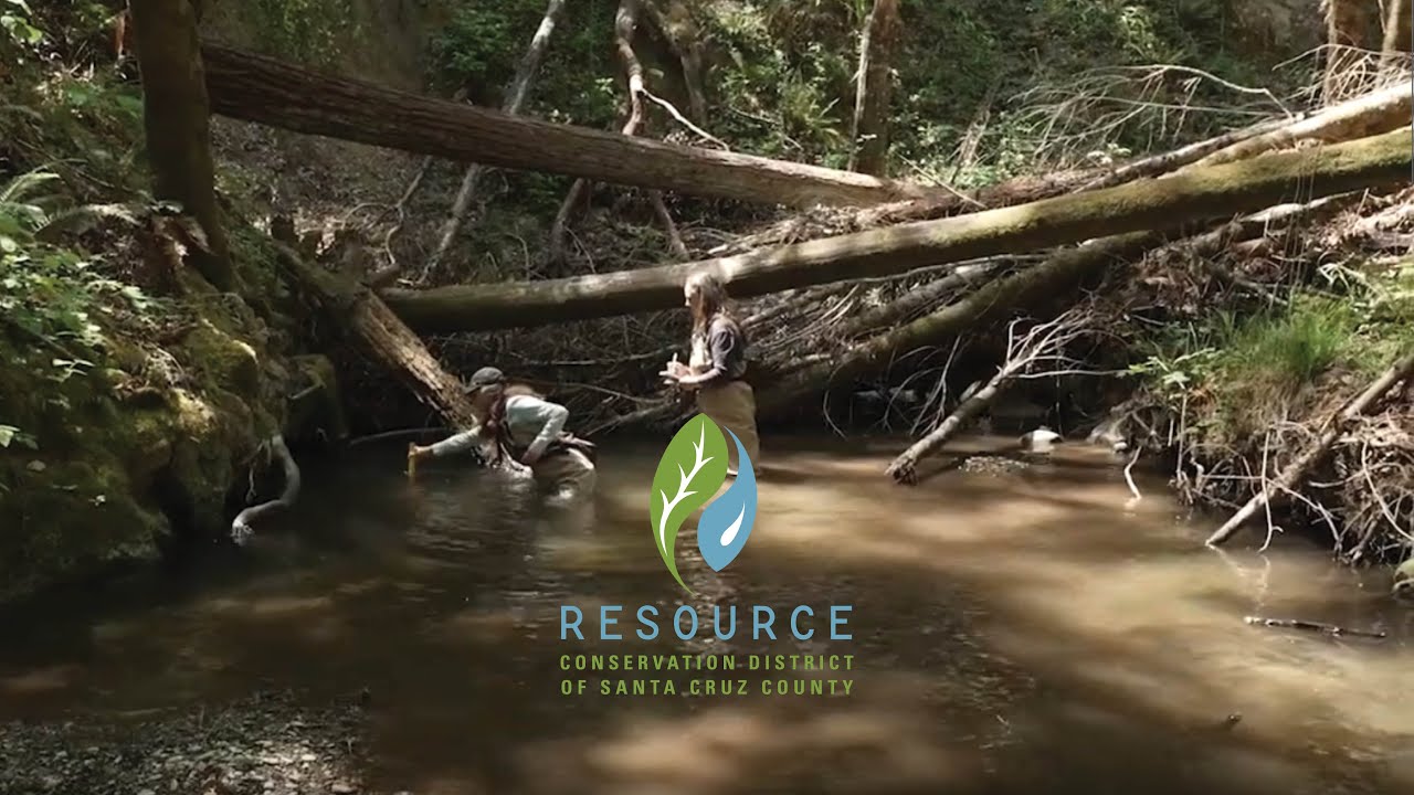 Habitat Restoration on Zayante Creek