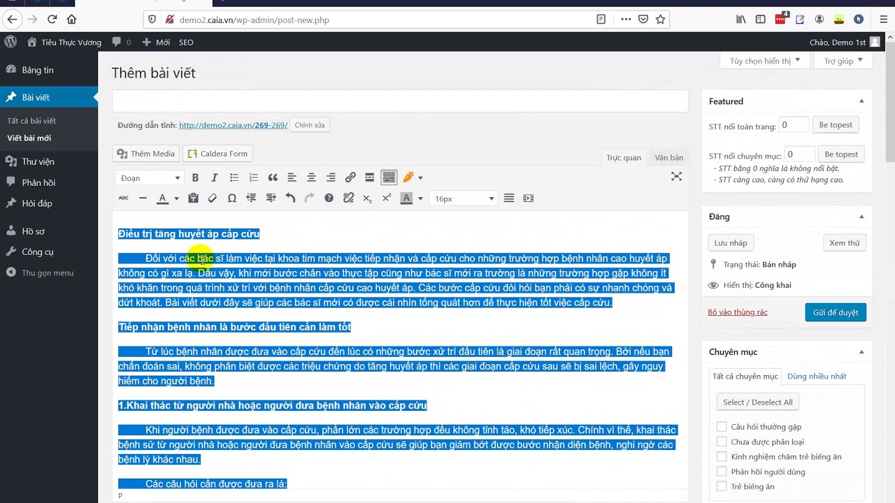 C&aacute;ch copy b&agrave;i viết từ Word v&agrave;o Wordpress - Caia.vn