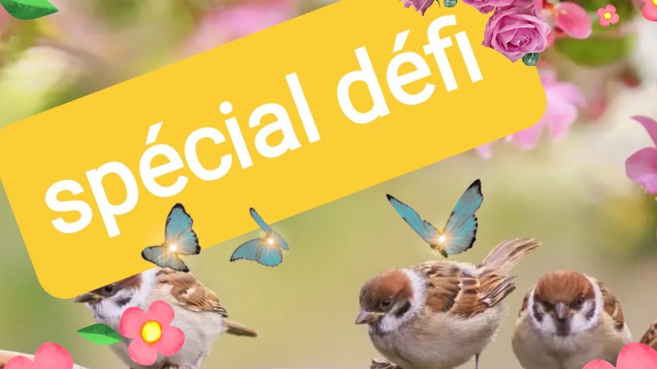 Un défi ? C'est parti ! #scrapbooking 