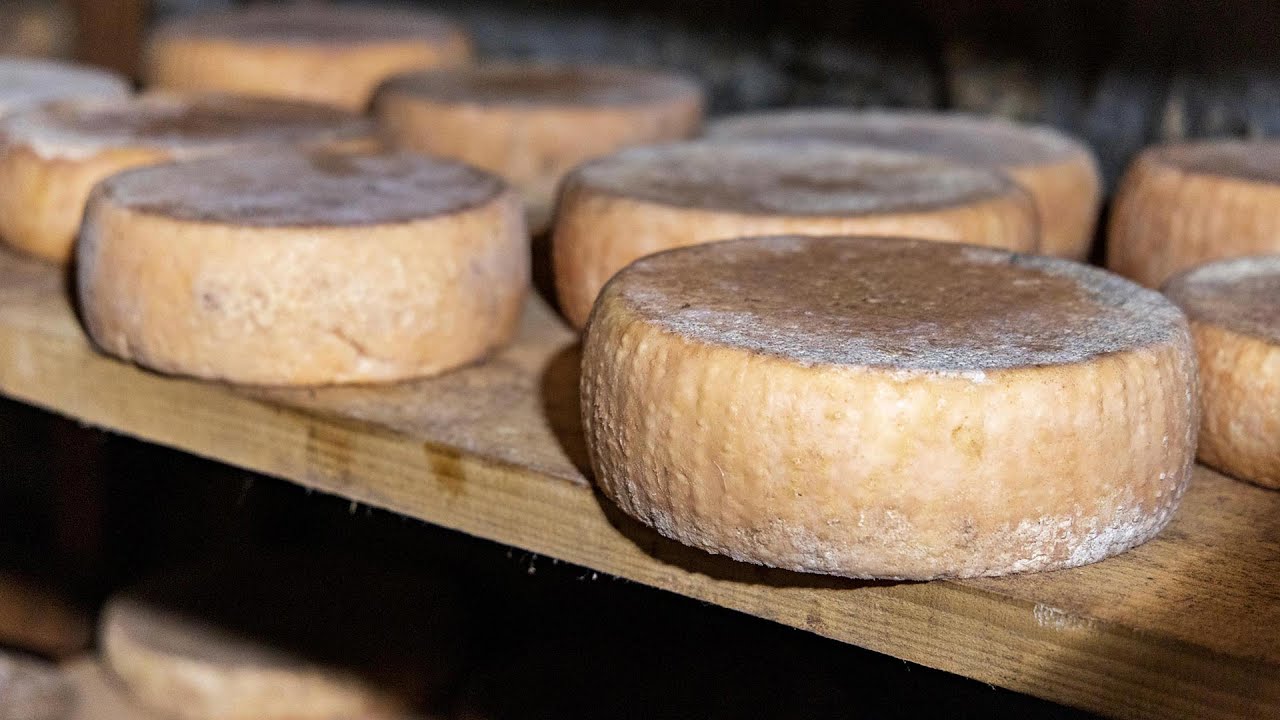 1 minuto in Valsesia – La Toma 🧀