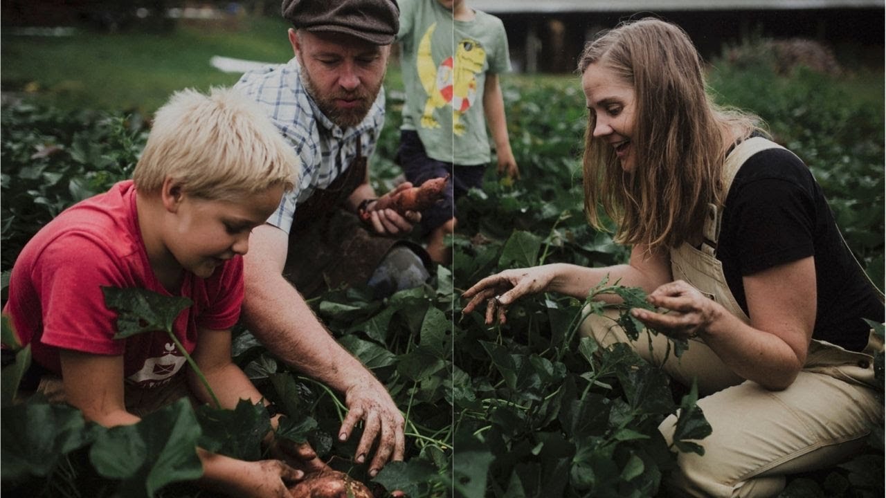 The 10-Acre Homestead | Falling From Success to Survival
