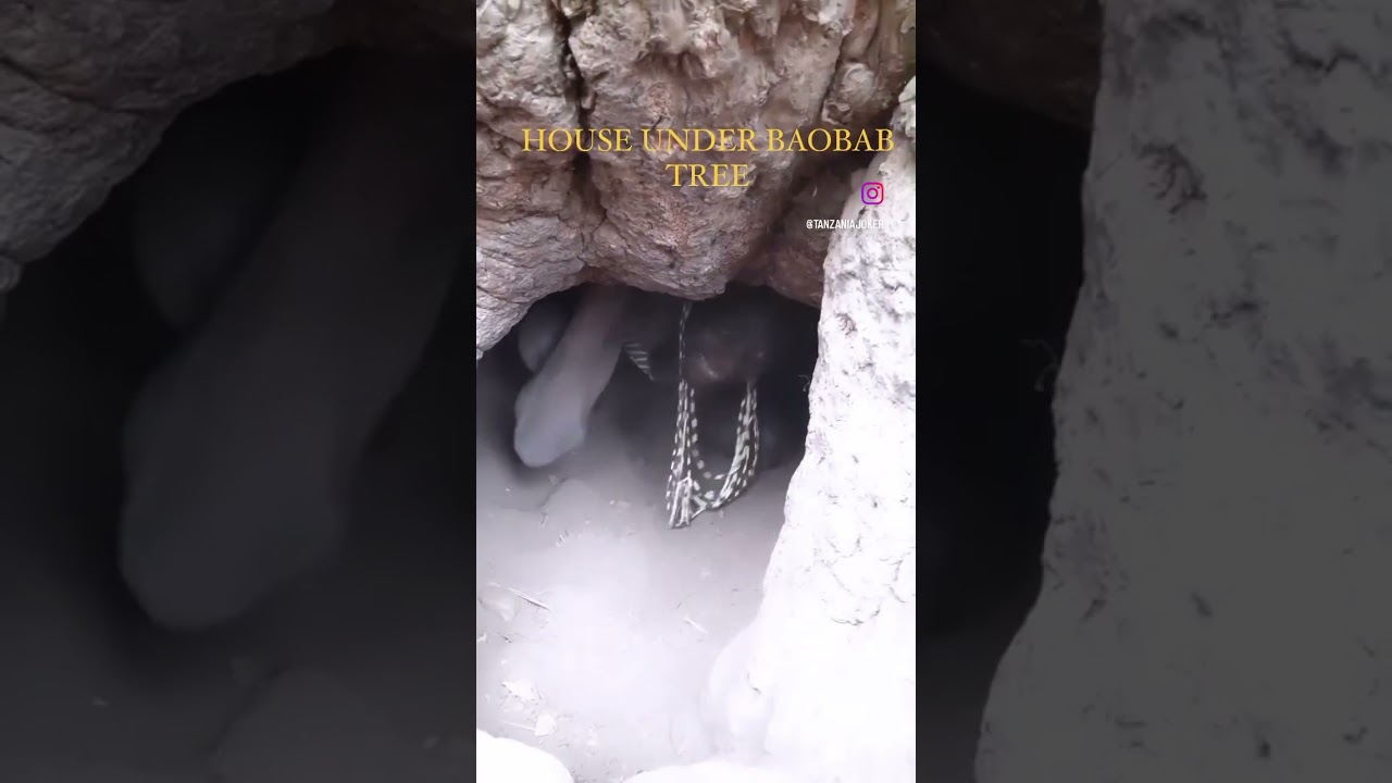 Hadzabe Tribe lives in caves