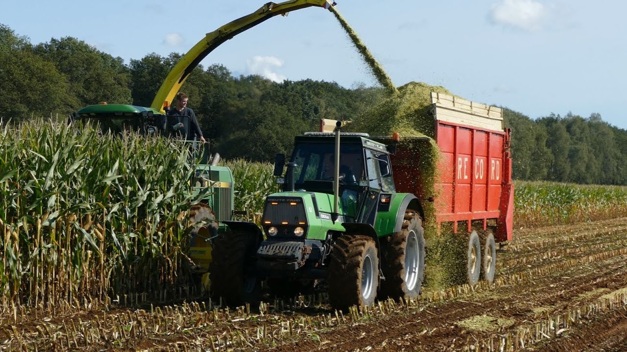Vintage DEUTZ-FAHR In The Field - DEUTZ DX 6.50