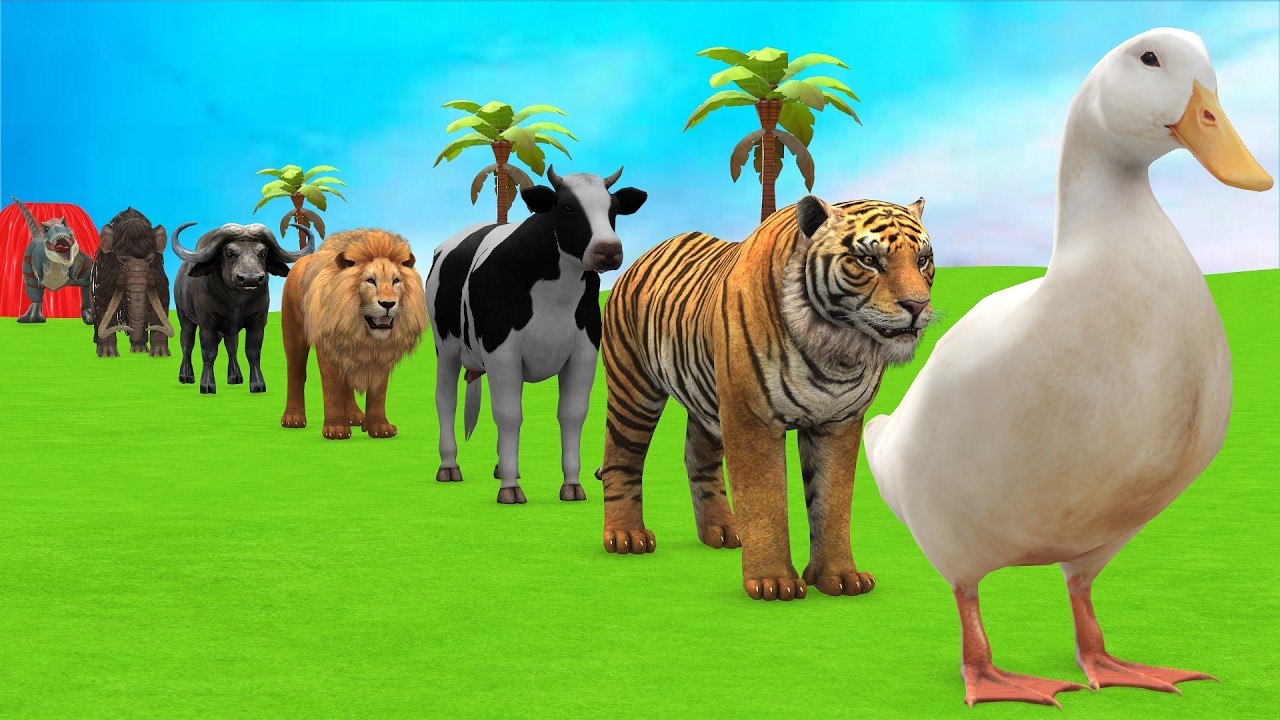 Long Slide Game with Cow Elephant Gorilla Hippopotamus Tiger 3d Animal Game Funny 3d Animals