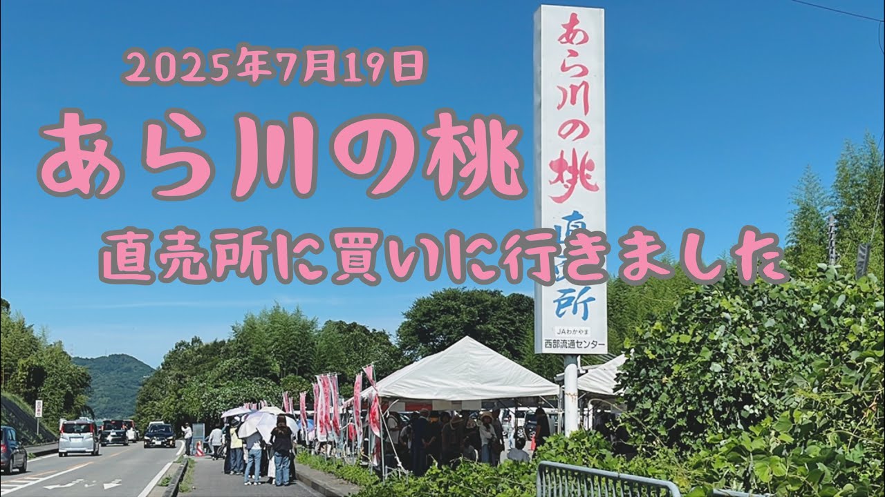【あらかわの桃】和歌山紀の川市の直売所に買いに行きました。2025年7月19日