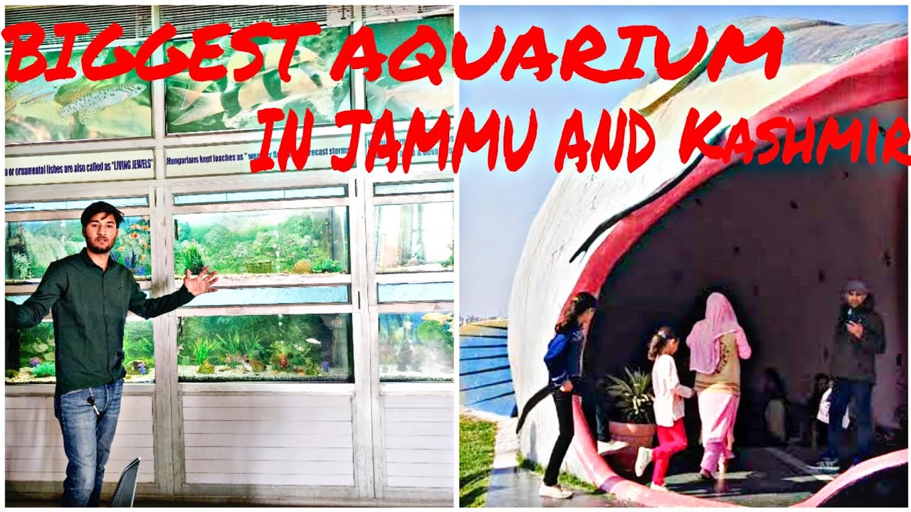Fish Aquarium Jammu city 🔥 / Bagh E Bahu / 🔥 So Beautiful Fish Aquarium in Jammu city (Bahu fort)