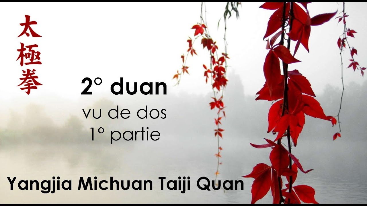 2°duan  - 1°partie vue de dos - Yangjia Michuan Taiji Quan