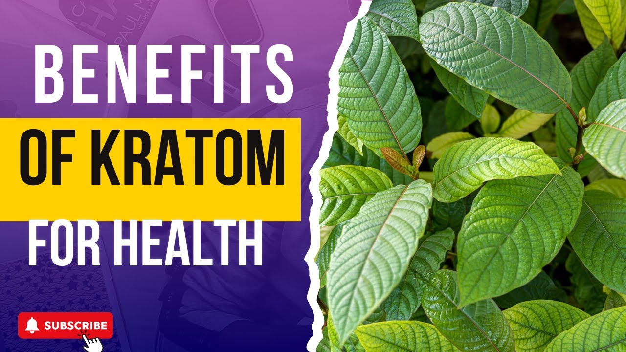 What is Kratom (Mitragyna Speciosa)? Everything You Need to Know!