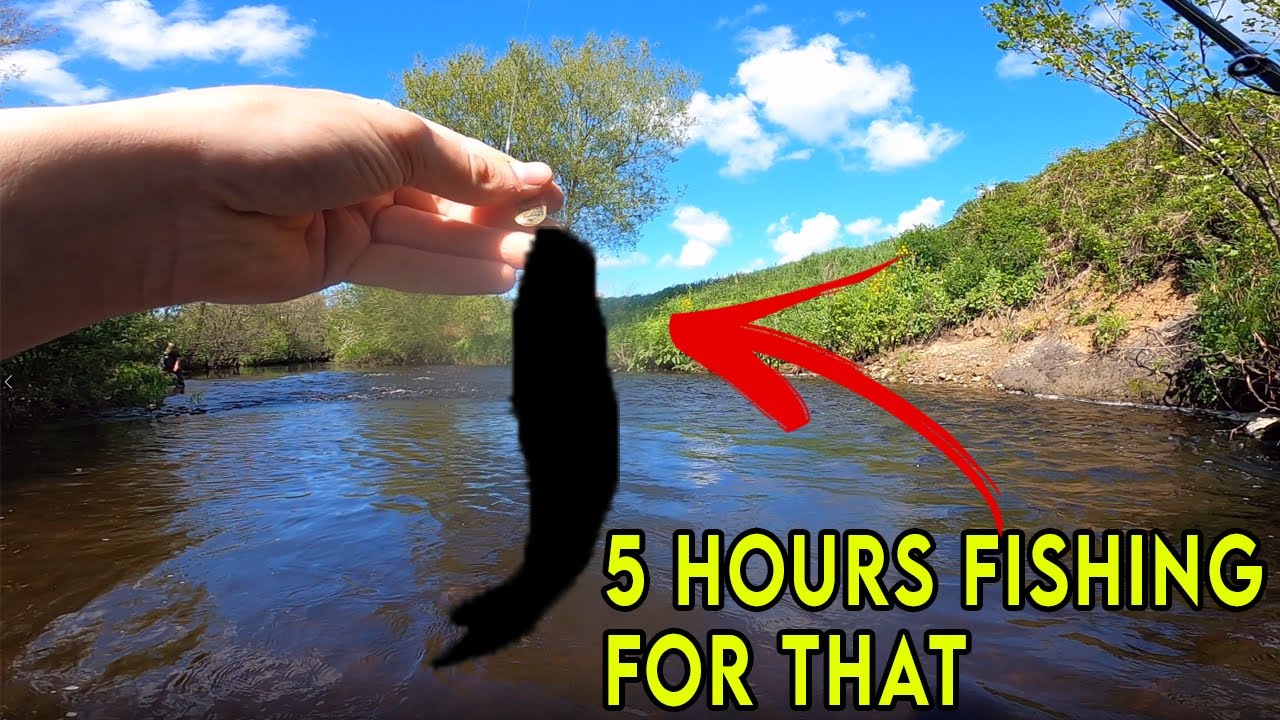 River Wyre Fishing - 5 Hours For This Fish