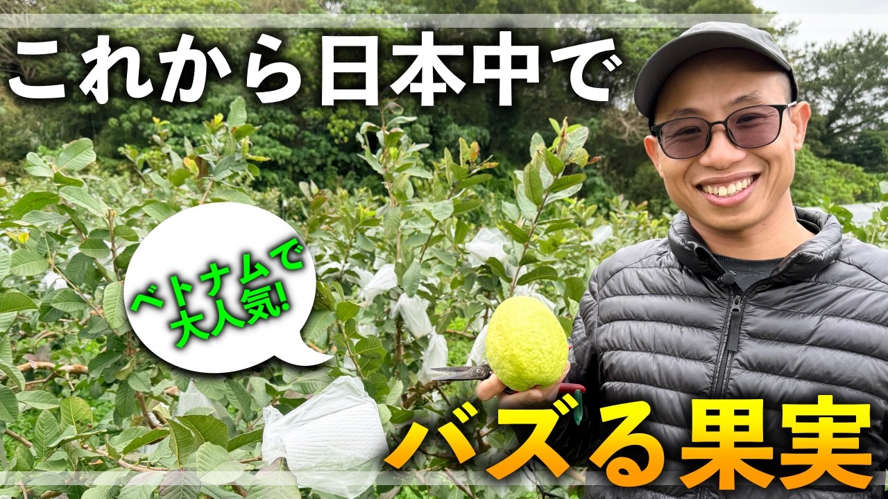 【ベトナムの激うま果実】これから日本で大流行りする果実はこれだ！！！！！！！！！！！！