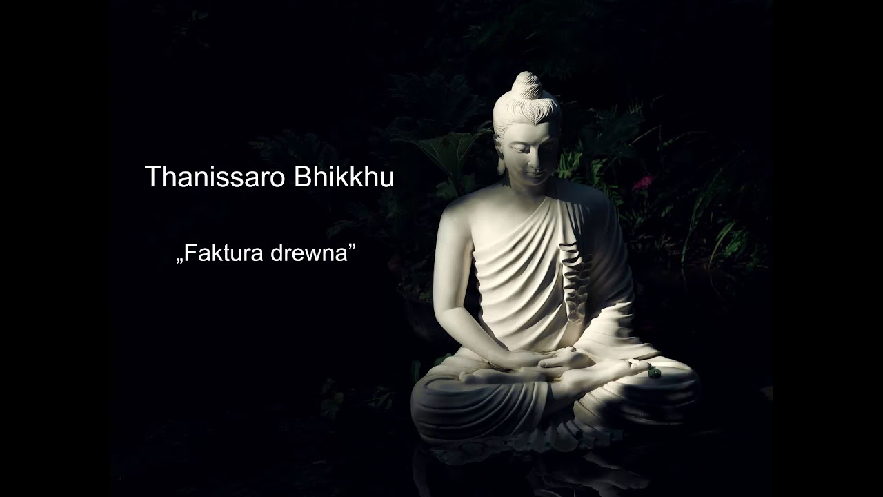 Faktura drewna - Thanissaro Bhikkhu [LEKTOR PL]