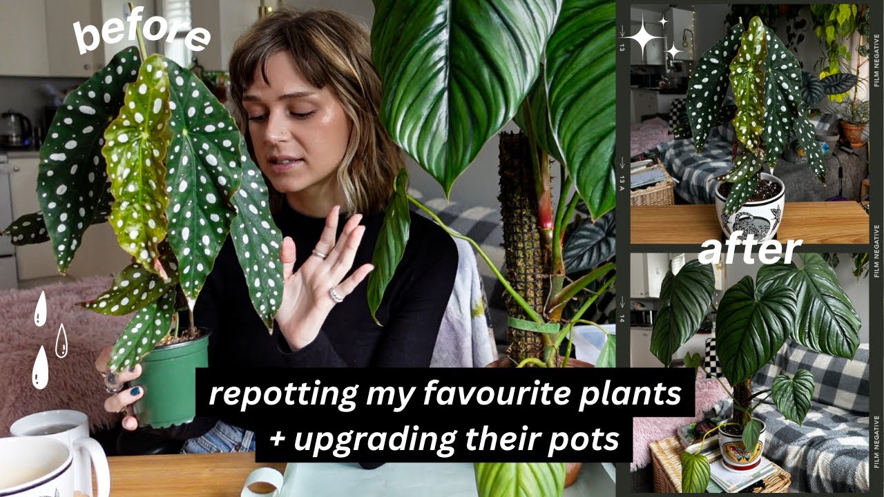 repotting my plants into cute tattoo planters 🦋❤️‍🔥