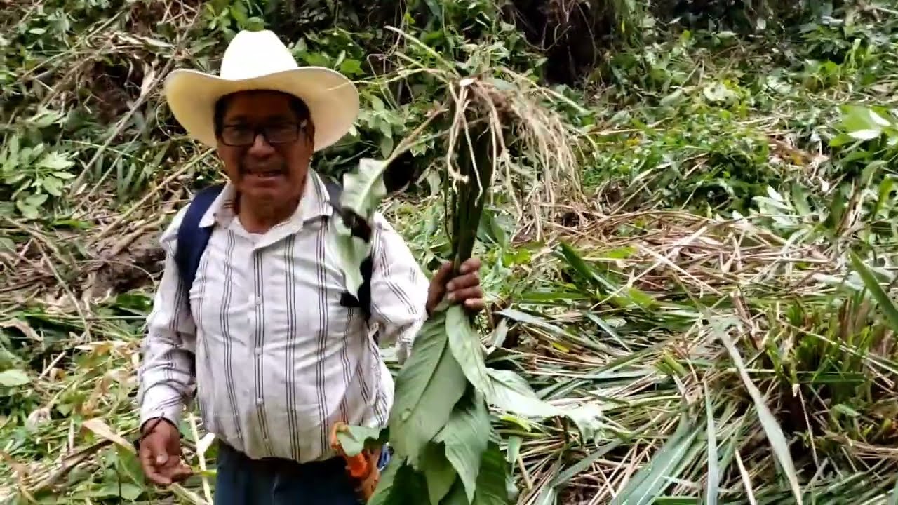 Nos vamos a la limpia de carril San Miguel Cuevas 2024