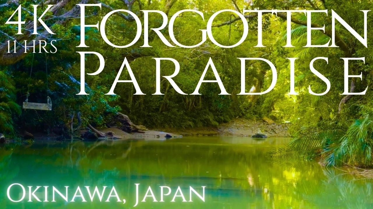 Forgotten Paradise🌏 in Okinawa🏝, Japan🇯🇵 4K Video