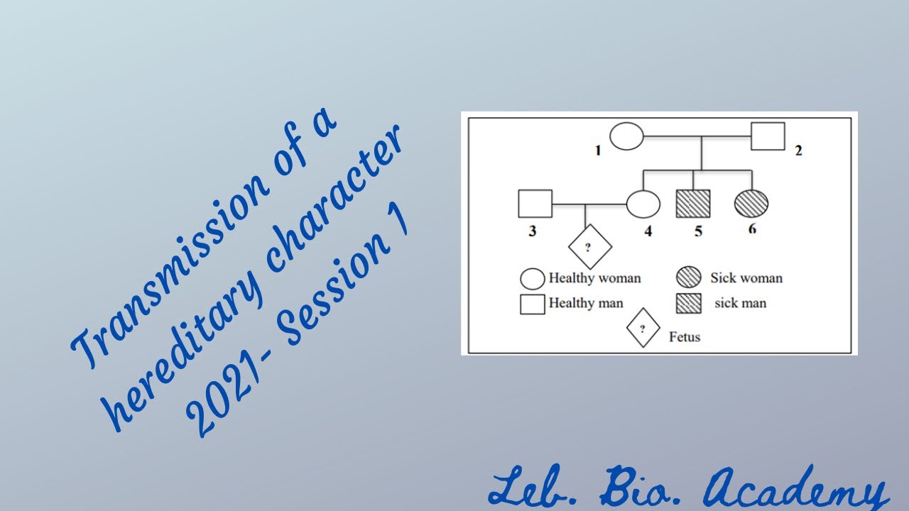 Solving session 1 2021