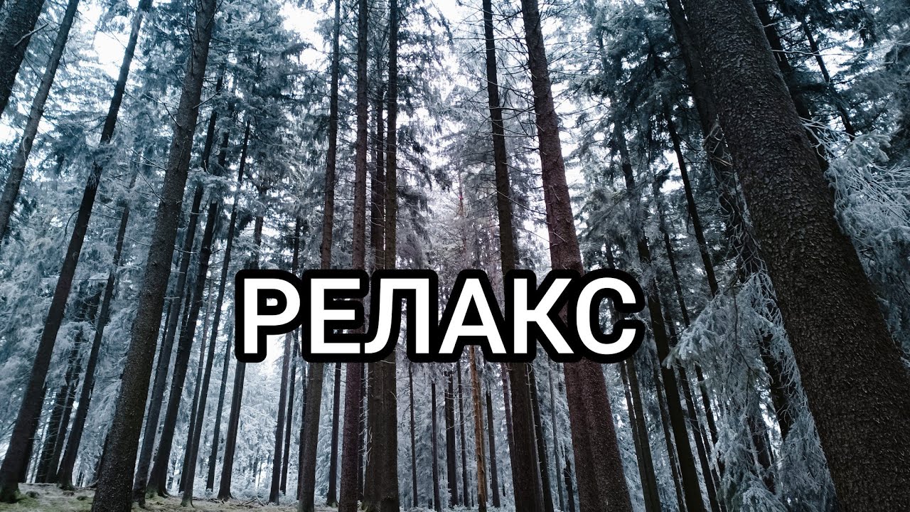 Сказочный лес.Чуть не заблудилась.#olinacz 