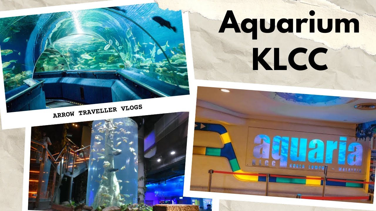 Skyline Views to Underwater Wonders|Malaysia Part 3| #ArrowTraveller |#malaysia #family #familyvlog