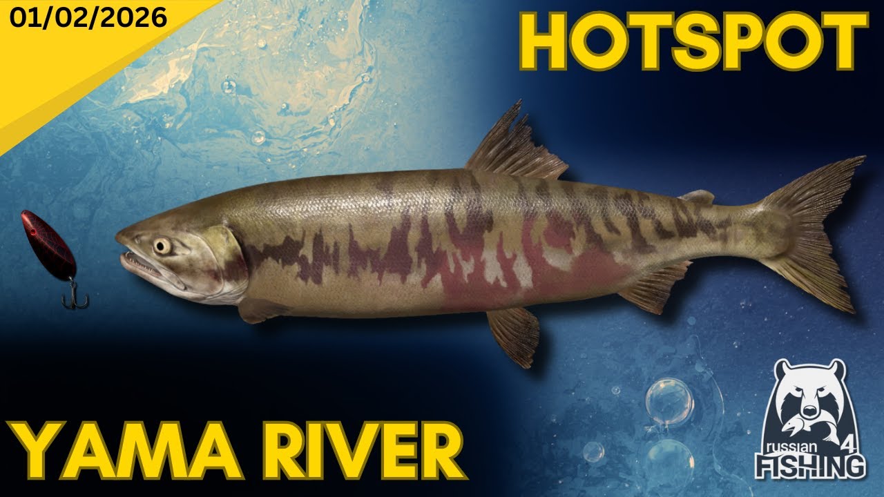Yama River - Spinning for Salmon - Russian Fishing 4