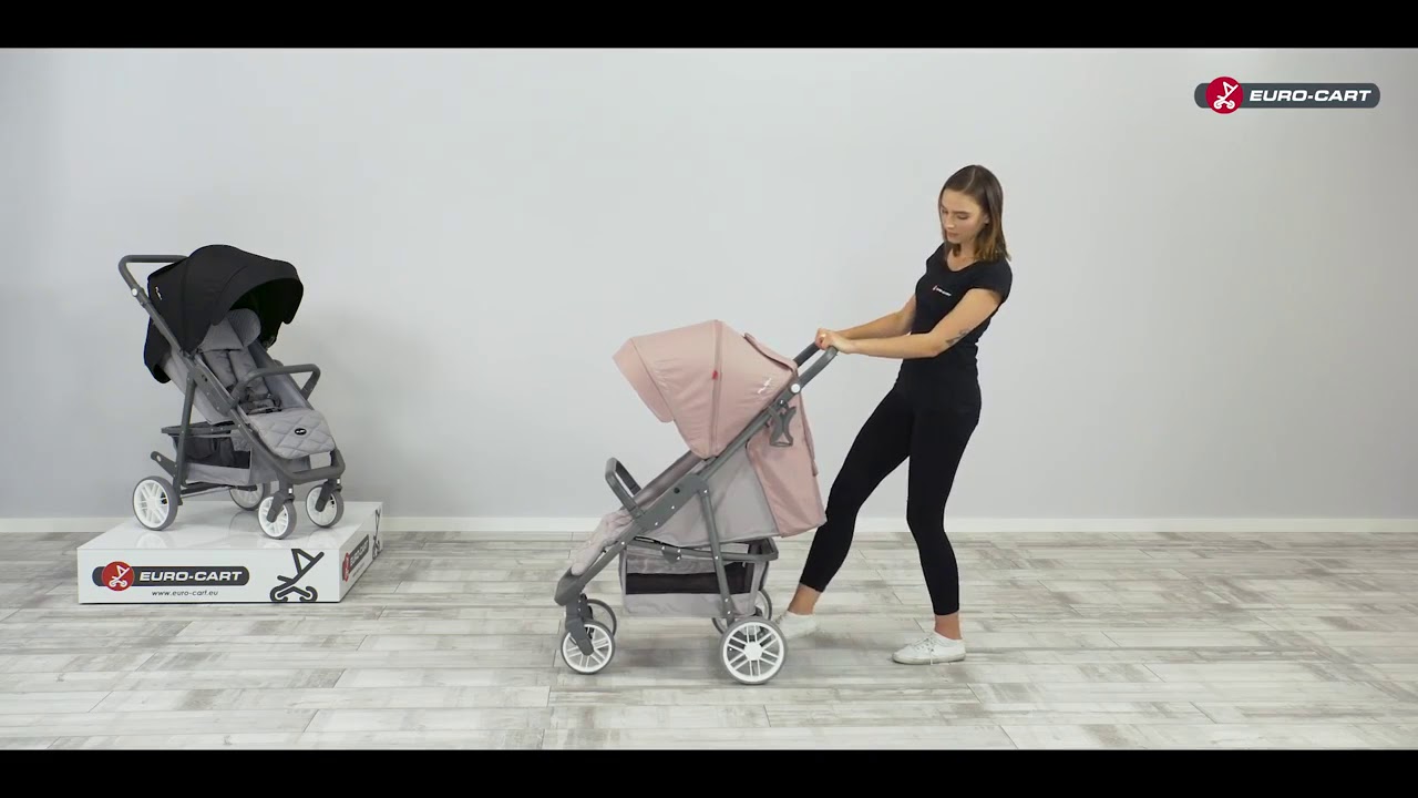 Огляд прогулянкової коляски Eurocart Flex