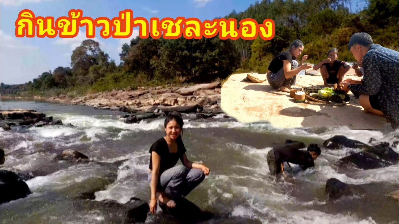 Ep.58.สาวเฟอพาไปกินข้าวป่าพาเลาะเชละนองธรรมชาติดีมากๆนาเทื่ยวเลย 29 มกราคม ค.ศ. 2026