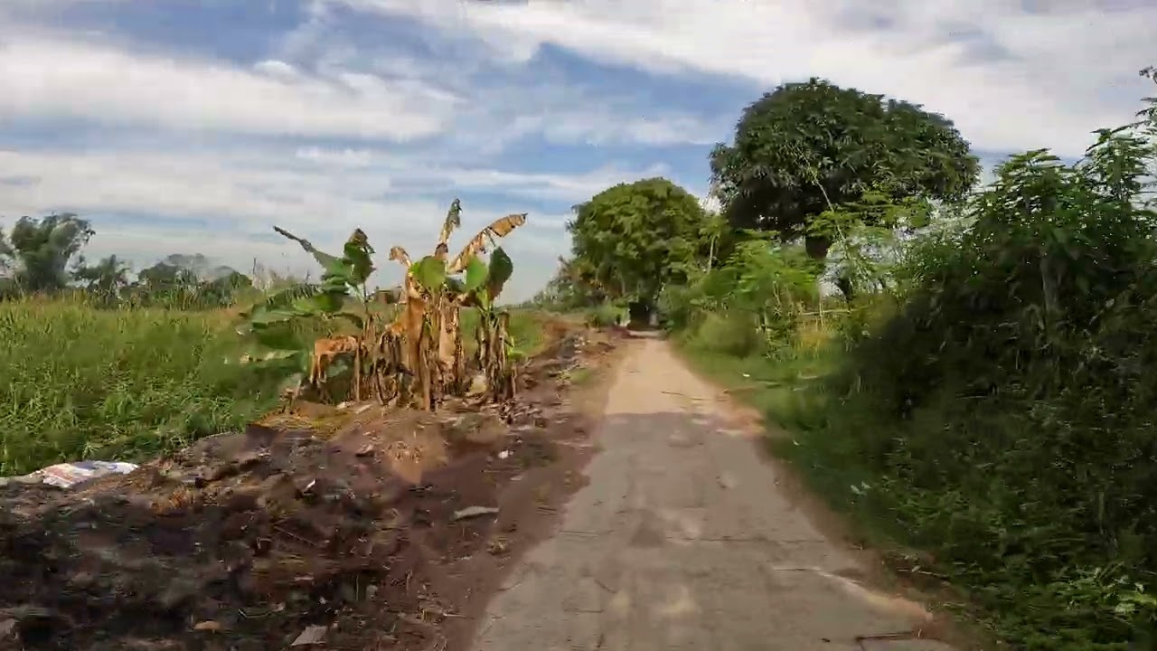 SAPSAP SANTA ROSA NUEVA ECIJA