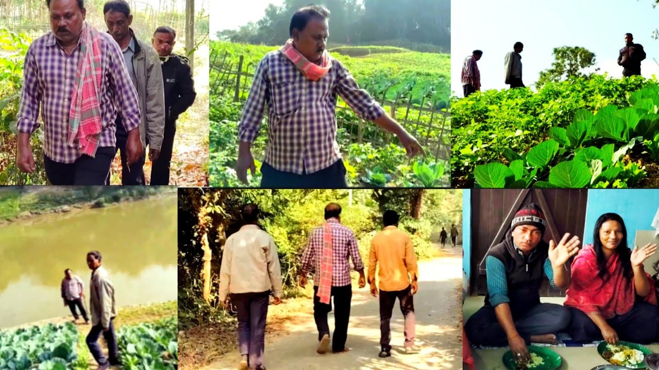 সোনাই নদীর পারে কাকার সবজি ক্ষেত যেন সবুজের বাগান অসাধারণ লাগলো ||