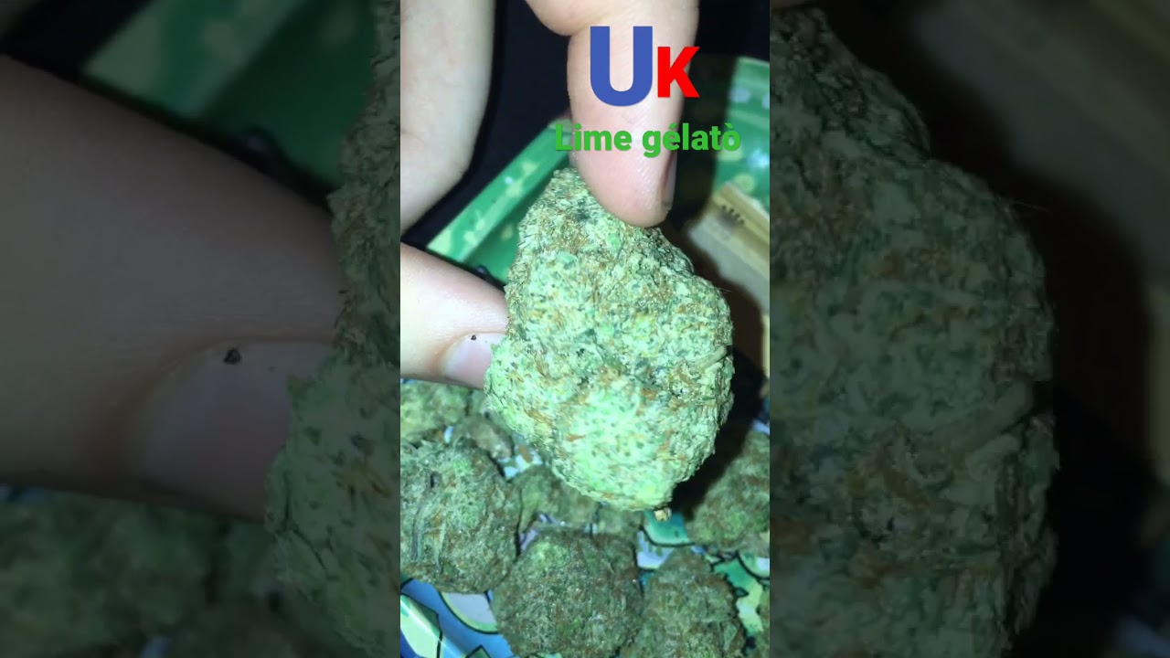 Uk grown lime g&egrave;lat&ograve; #gelato #greenteam #ukweed #fyp #shorts