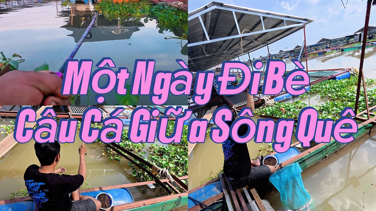 Một Ngày Đi Bè Câu Cá Giữa Sông Quê