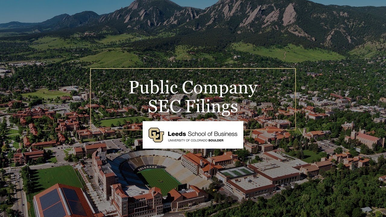 Public Company SEC Filings