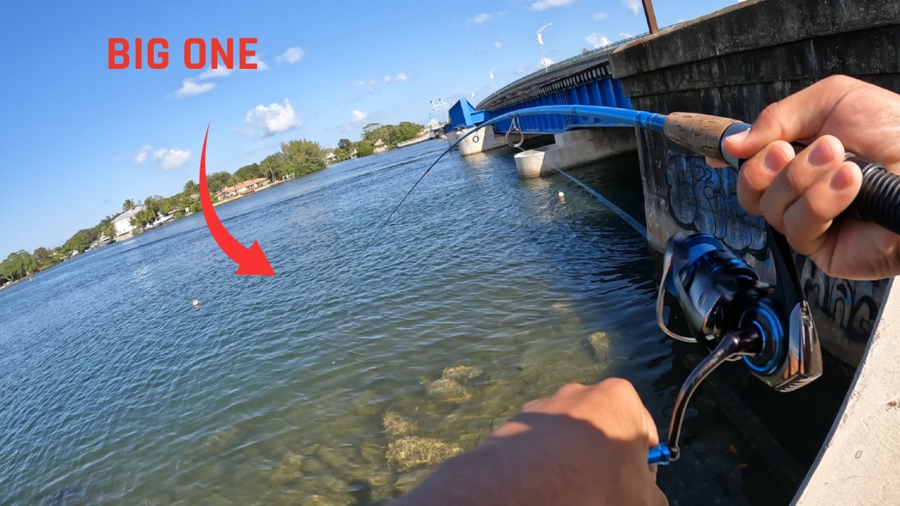 Driving an HOUR north to fish and explore Jupiter Florida