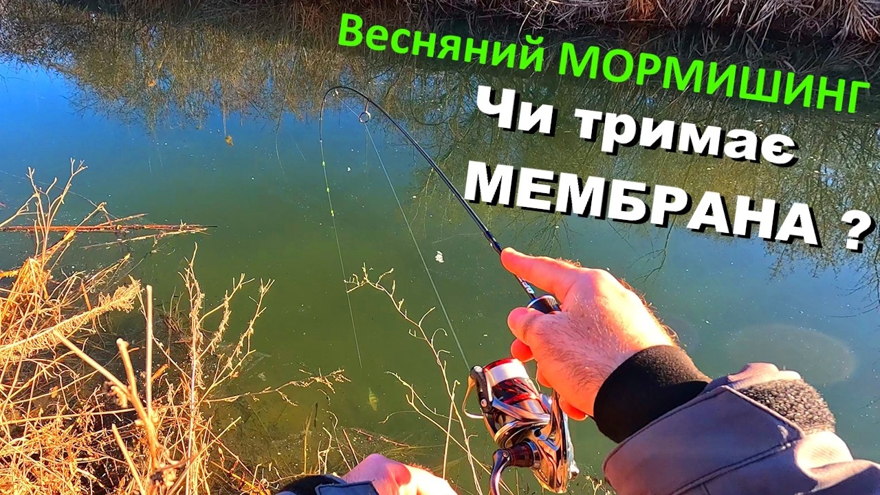 МОРМИШИНГ весною. Чи тримає МЕМБРАНА?