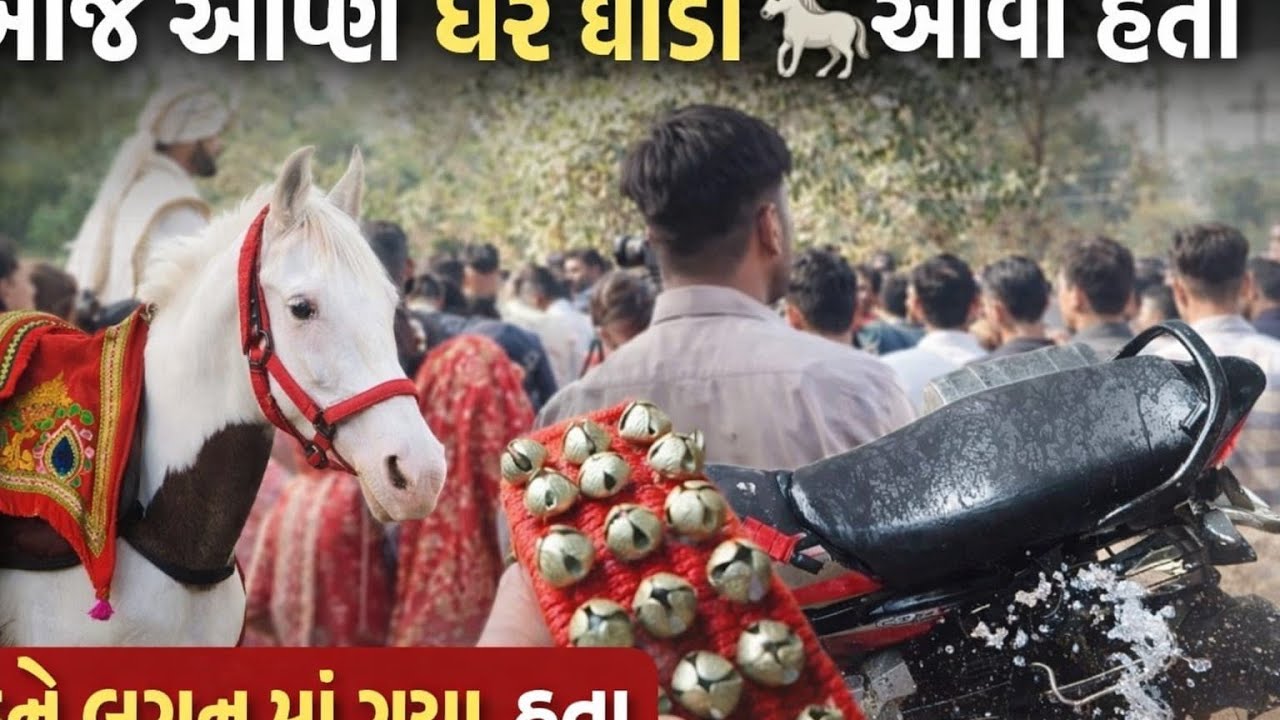 આજે તો આપળી‌ વાડીયે‌ ઘોડી આવી છે ગુજરાતી બ્લોગ 