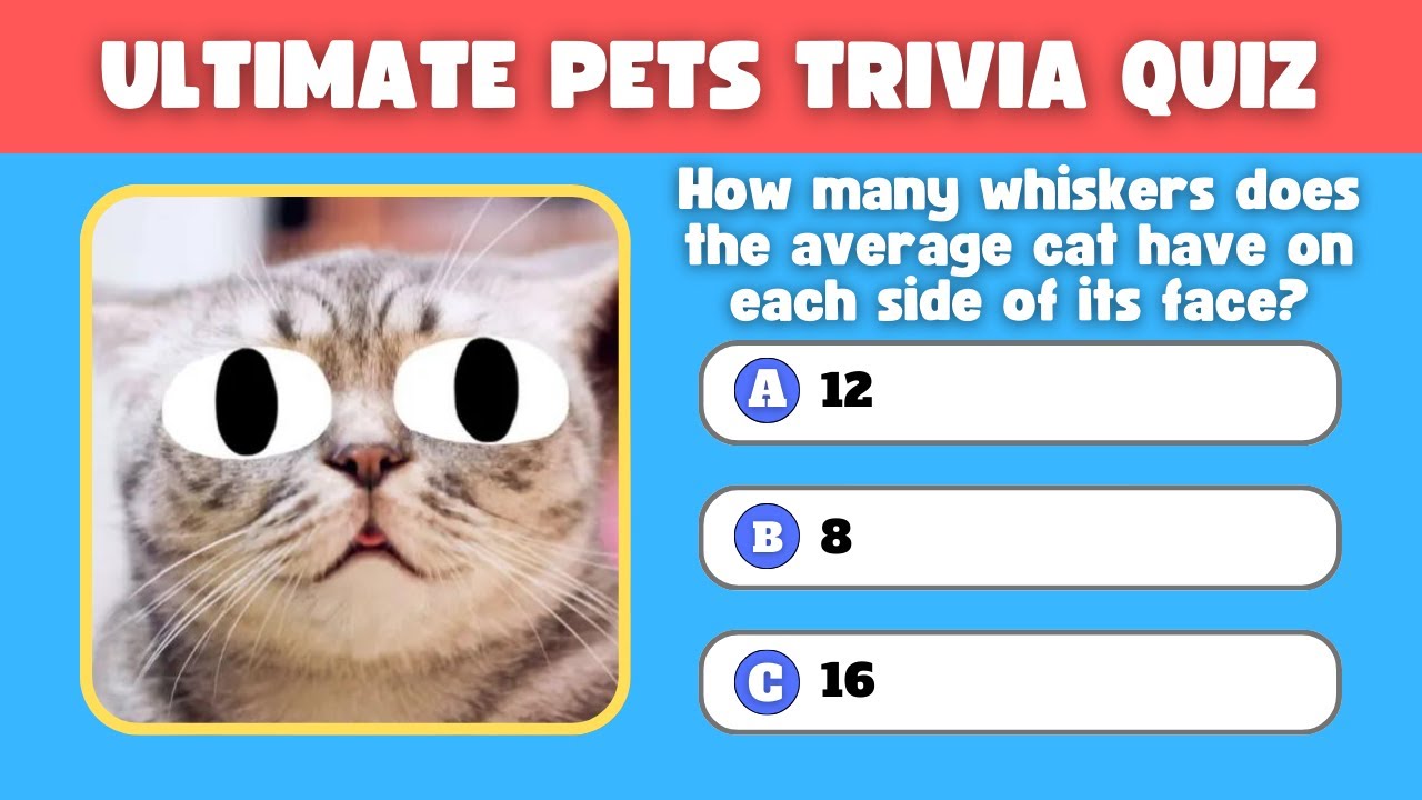 🐾 The Ultimate Pets Trivia Quiz! 🐾