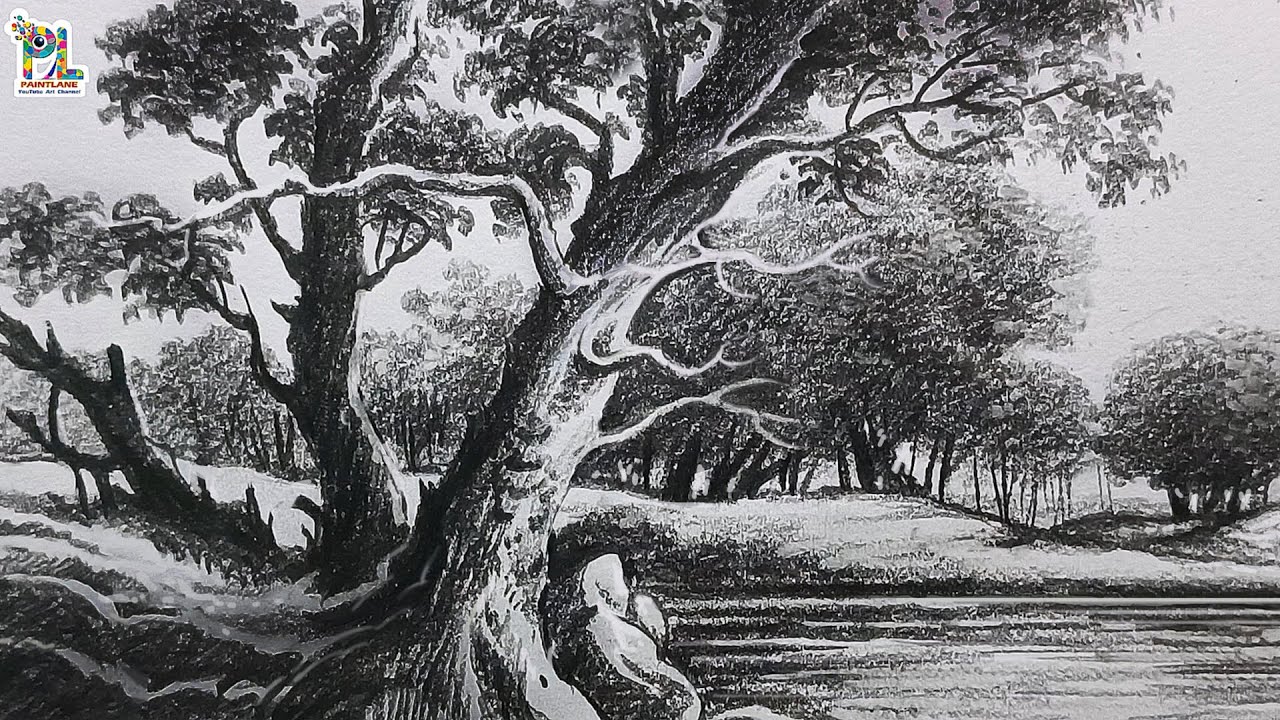 How to draw Beautiful Forest with pencil sketch and shading | Trees drawing
