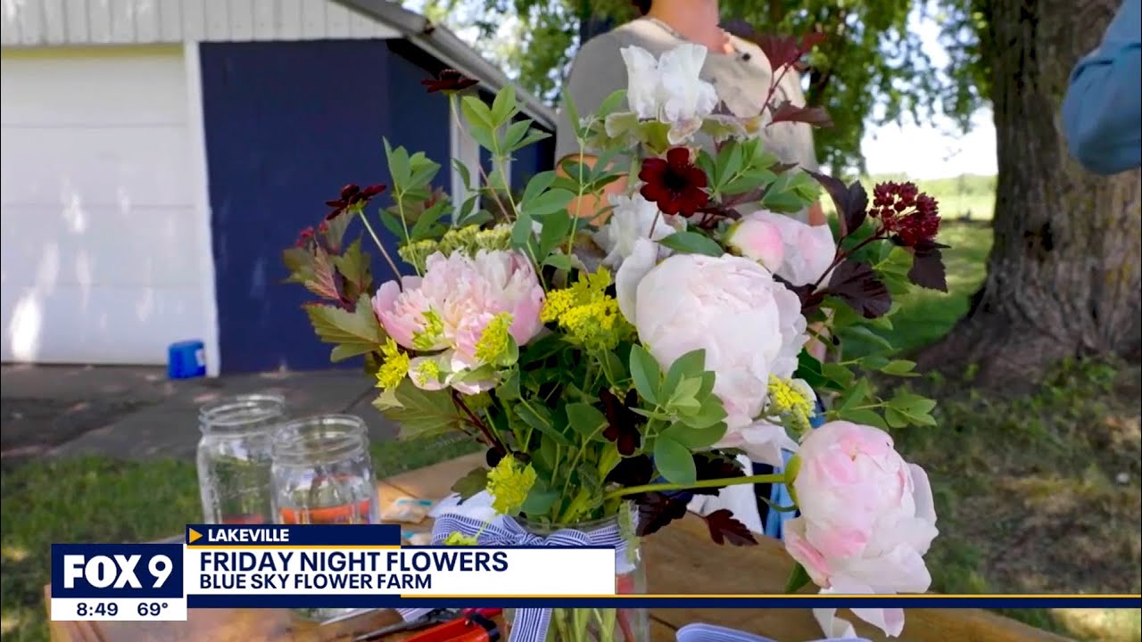 A look at the 'Slow Flower Movement' | Garden Guy Dale