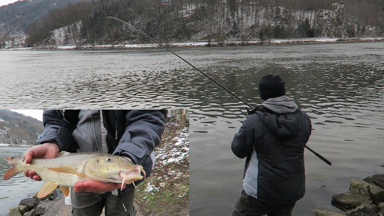 PESCUIT LA MREANA pe dunare 2021| frig si ninsoare !