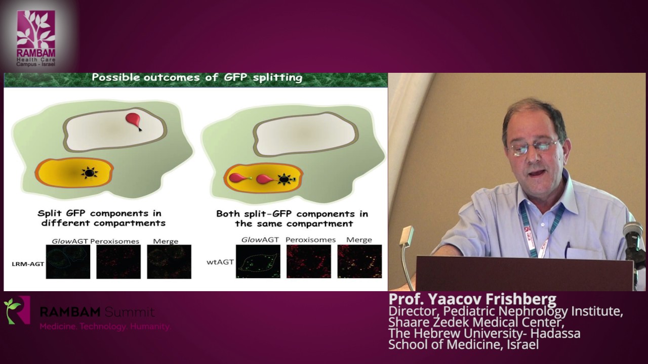 Primary Hyperoxaluria Type 1 - Novel Therapeutic Approaches - Prof. Yaacov Frishberg
